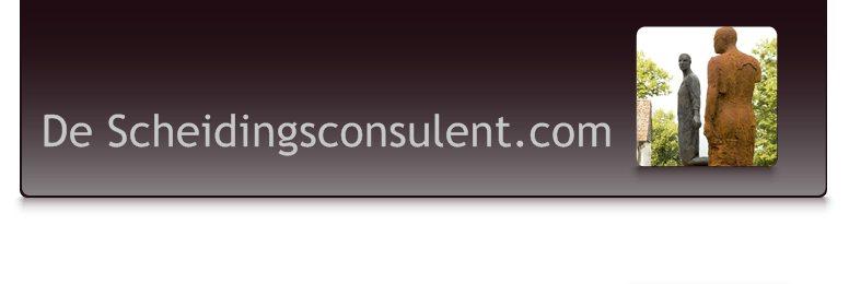 De Scheidingsconsulent